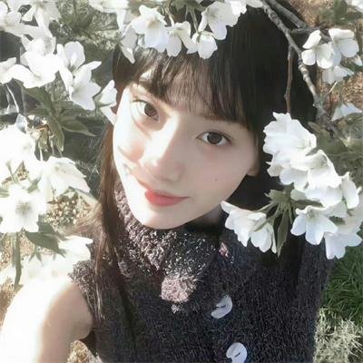 情牵紫罗兰